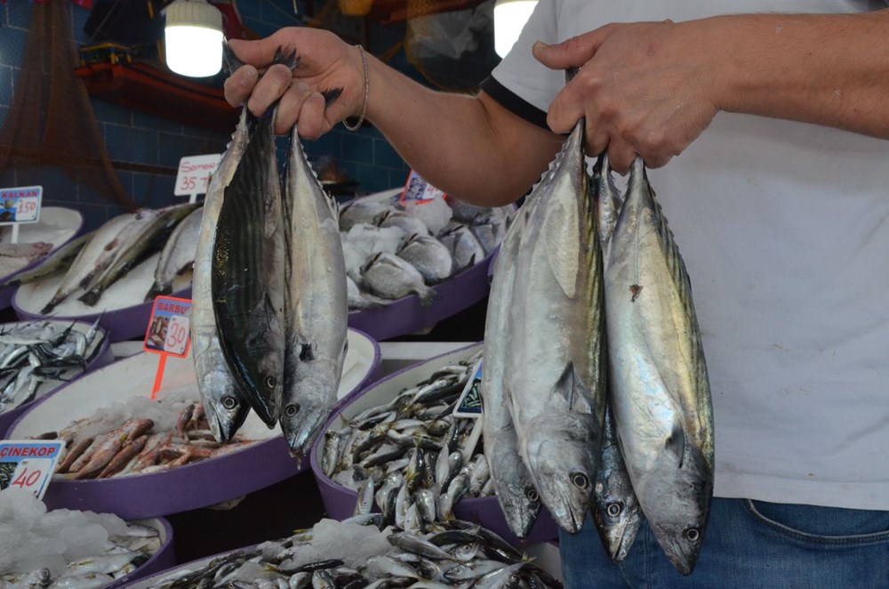 Palamut 5 liraya kadar düştü - 4