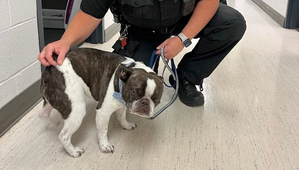 ABD’de bir yolcu köpeğini havalimanında terk etti