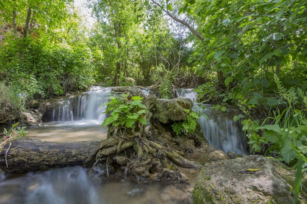 Mezopotamya'nın altın üçgeni 'Çınar' buram buram tarih kokuyor - 10