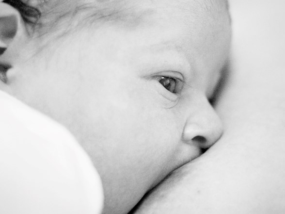 hani bebek emecek sut gelecekti magazin haberleri ntv