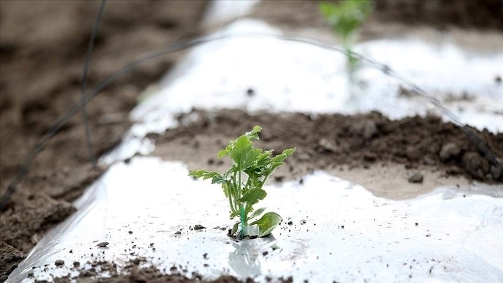 Yarın okullar tatil mi? 15 Nisan kar tatili olan vilayetler listesi 74 YHdjVWzR2UCaHjnmfrdMzw