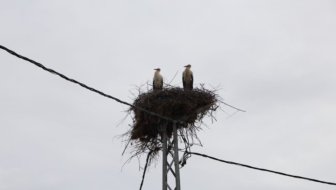 Sivas’ta 40 yıllık gelenek: Leylekler geldiği zaman kazanlar kaynıyor