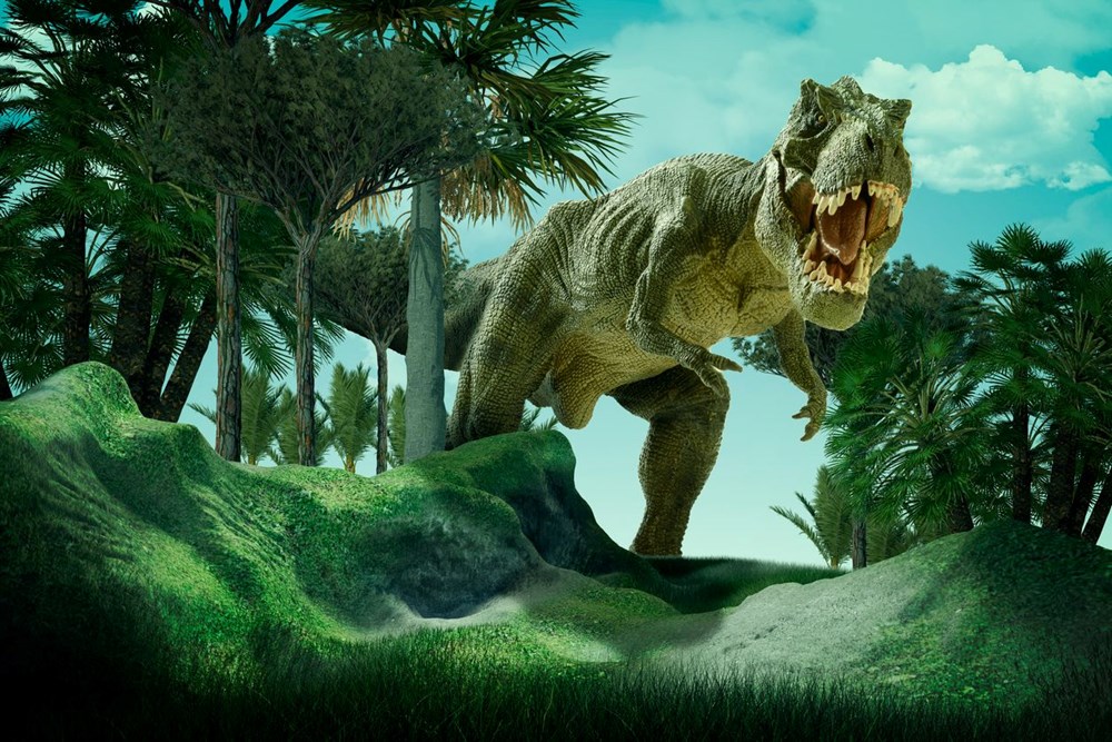 76 milyon yıl önce yaşayan yeni bir dinozor türü keşfedildi: T. rex'in atası bulundu mu? - 4