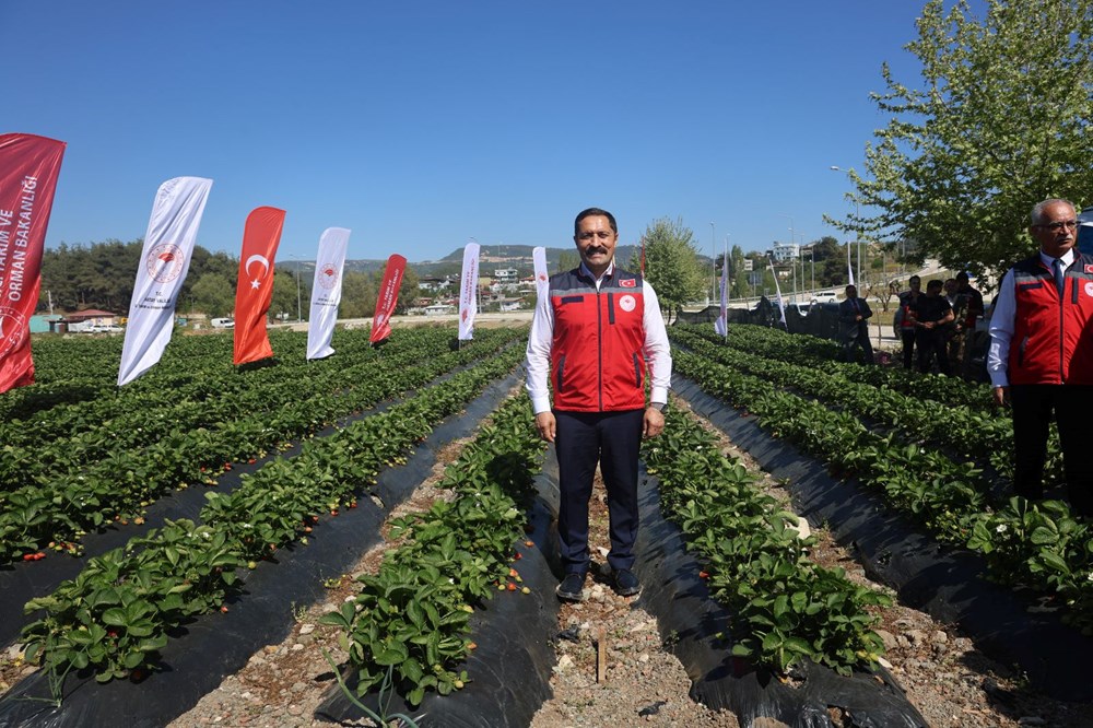 Ünü Türkiye sonlarını aştı: Bereketli hasat başladı 73