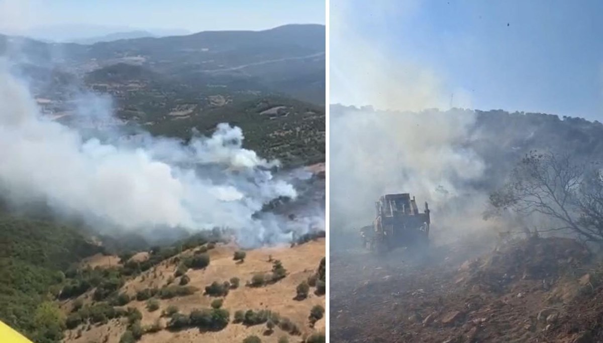 Balıkesir'de yangın