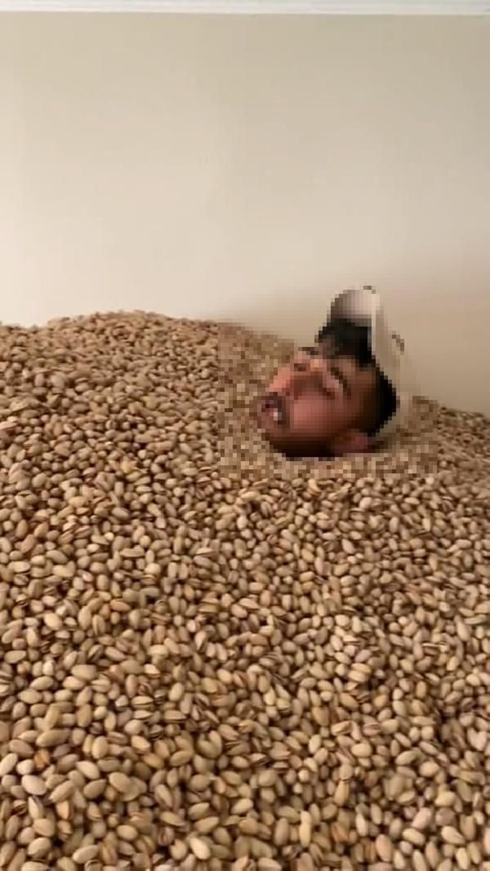 Fıstık deposunda tepki çeken görüntü - 2