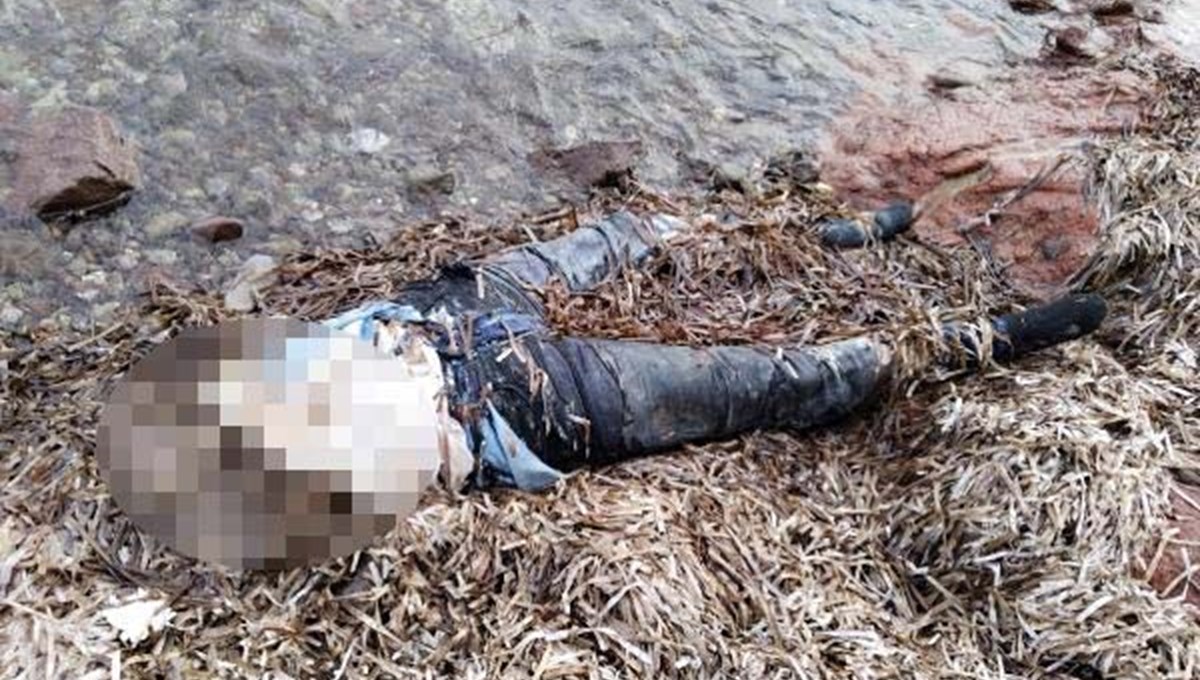 Bodrum'da sahilde bedeninin üst kısmı olmayan kadın cesedi bulundu Bodrum'da sahilde bedeninin üst kısmı olmayan kadın cesedi bulundu