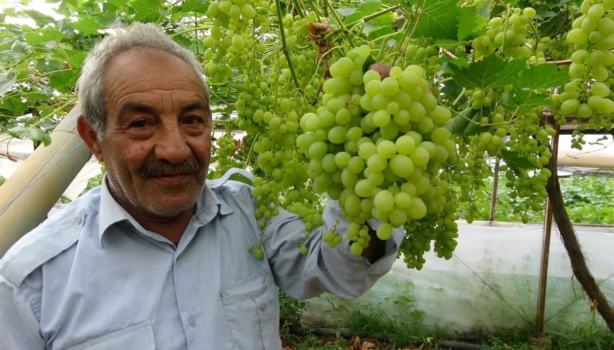 Zirai don fiyatları vurdu: İlk ürünler 250 TL'den alıcı buluyor