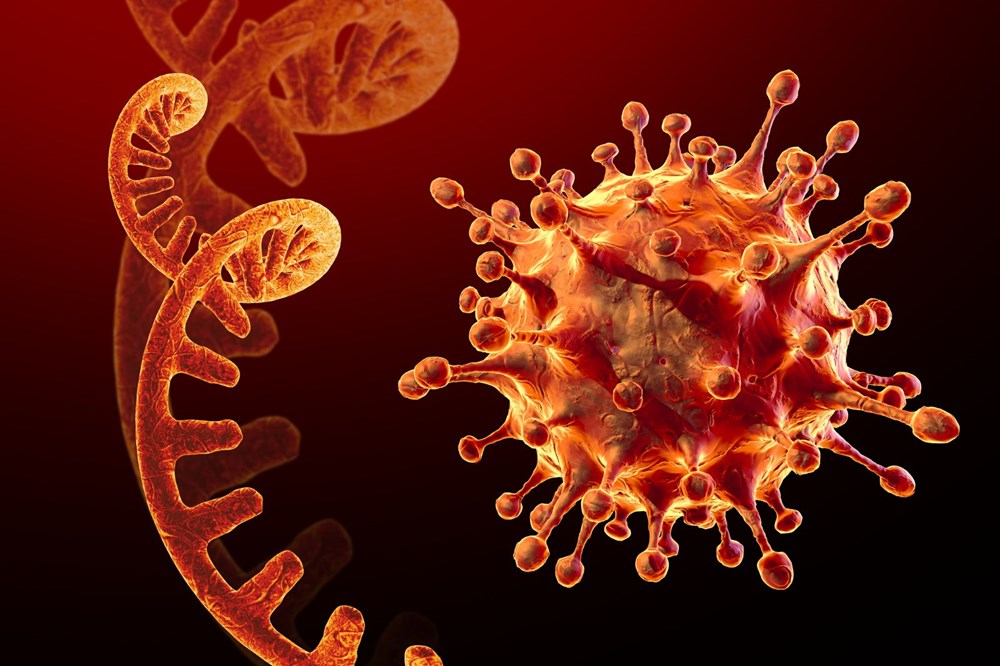 Mutasyonlu corona virüs aşıya dayanıklı hale gelirse ne olacak? - 13