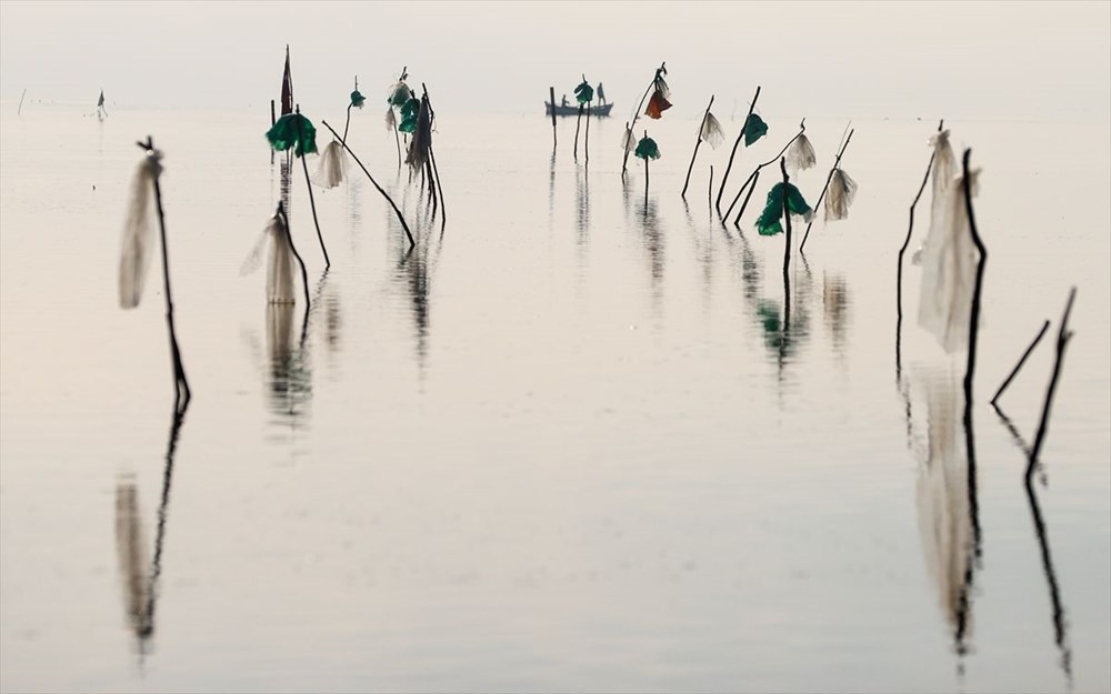Kuş cenneti Bafa Gölü'nde korkutan görüntü - 22