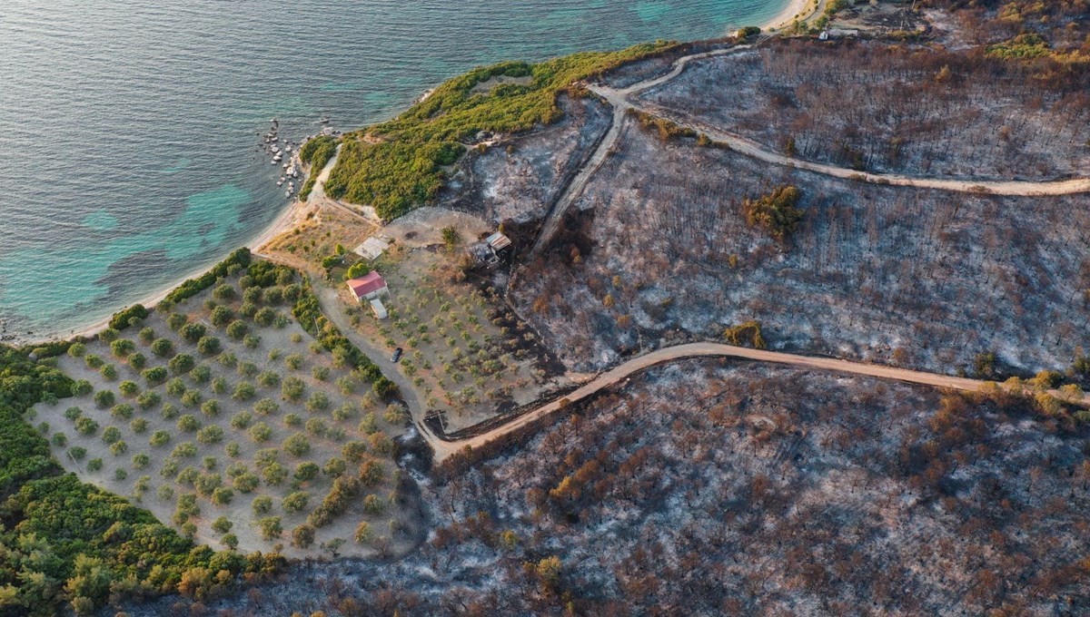 İzmir'deki orman yangınında can kaybı İzmir'deki orman yangınında can kaybı