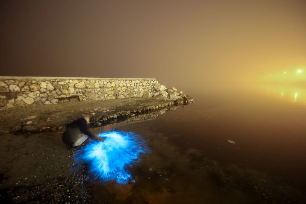 Bursa kıyılarında plankton patlaması: Deniz suyu renk değiştirdi - 8