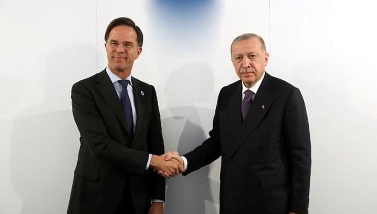 Hollanda Başbakanı Rutte Türkiye'ye geliyor