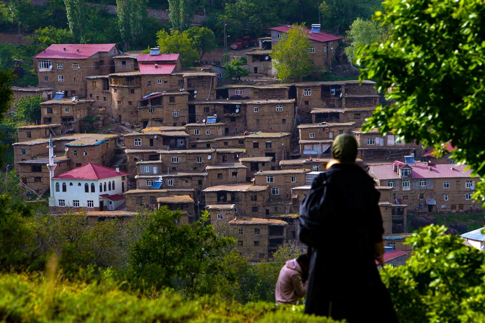 Bitlis'teki tarihi taş evler doğaseverlerin ilgi odağı - 2