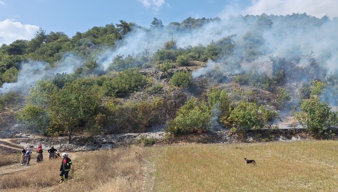 Niksar'da orman yangını
