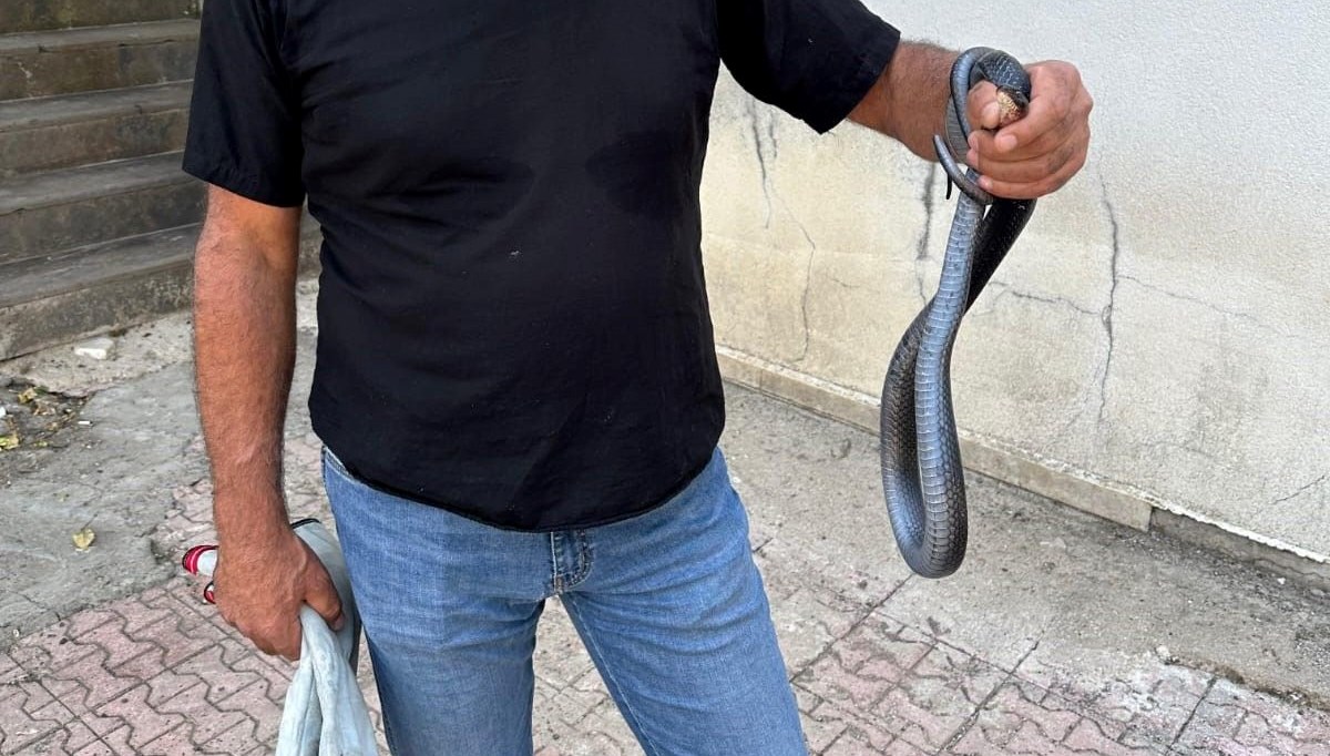 Tuvalete karayılan girdi