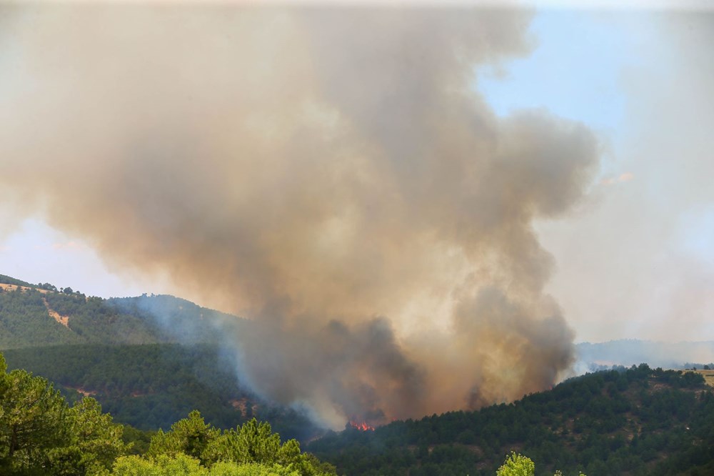 Sakarya'da iki mahalle tahliye edildi: Alevlerle mücadele gece boyu sürdü - 10