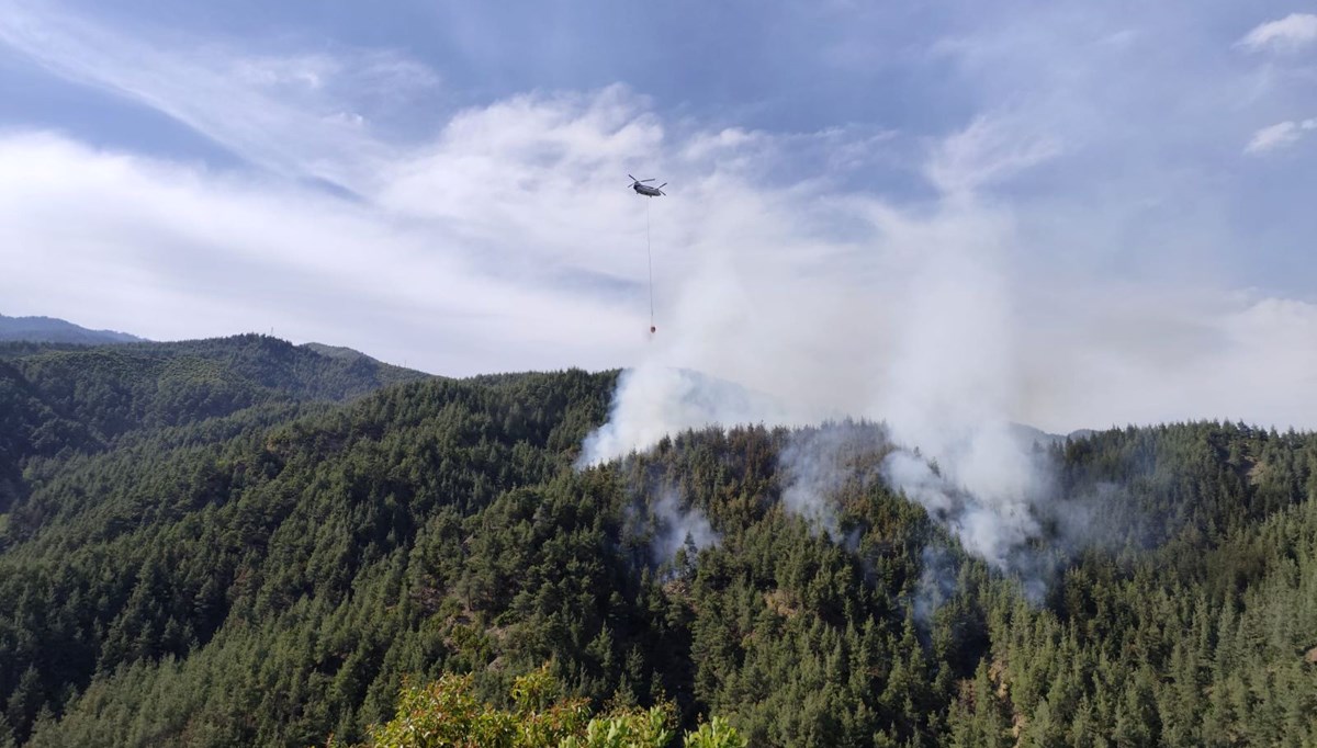 Kahramanmaraş'ta orman yangını