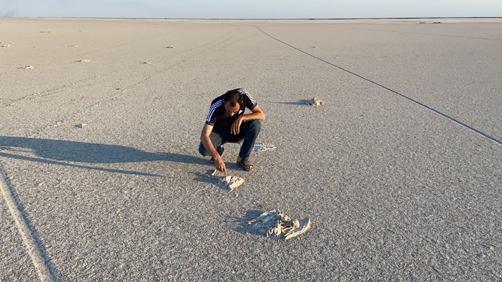Tuz Gölü'nde toplu flamingo ölümleri - 1
