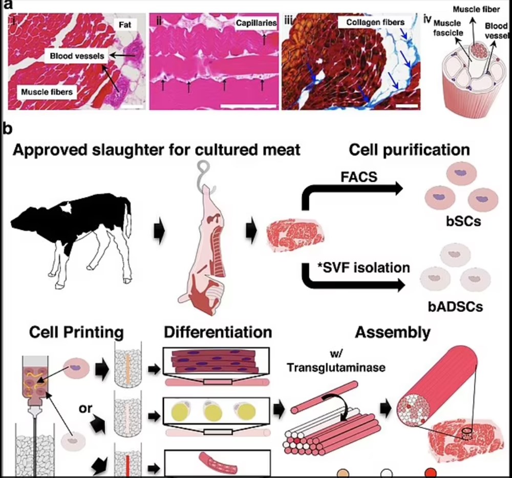 Böcek burgerden, laboratuvarda üretilen kahveye: 2030 yılına kadar menülerde yerini alacak lezzetler - 7