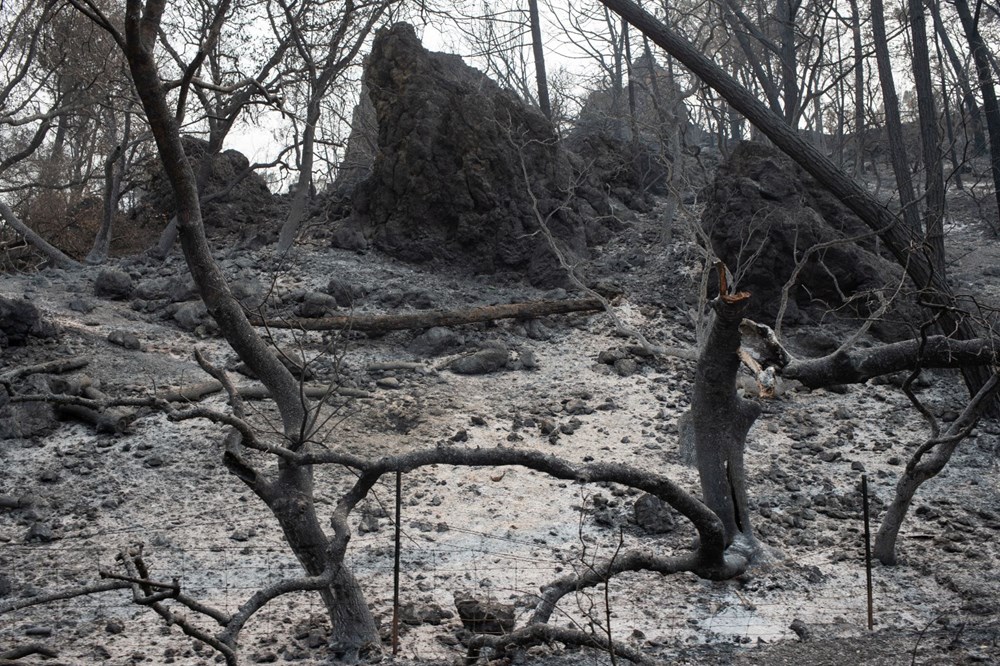 California'da 8 bin kilometrekare alan yandı, rekor kırıldı - 14