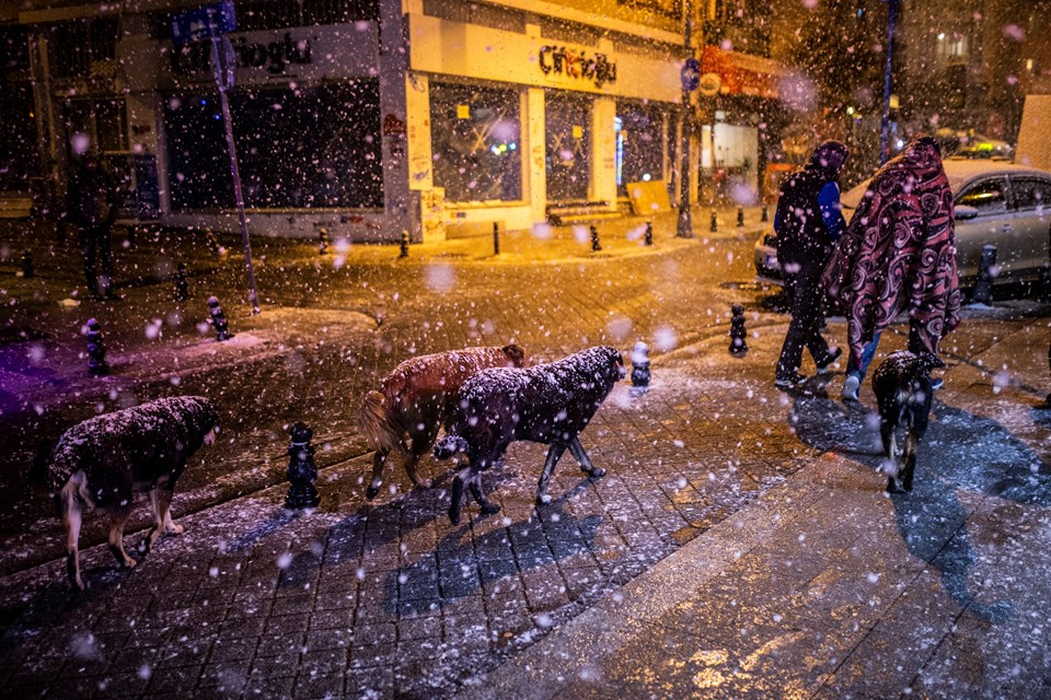 İstanbul�da kar yağışı etkili olmaya başladı NTV