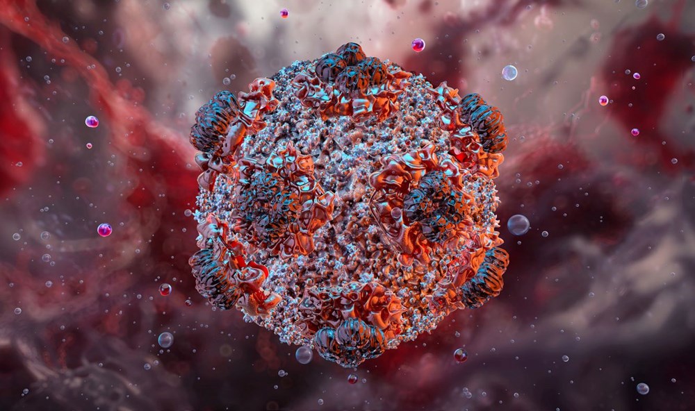 Ünlü oyuncunun eşini öldüren virüs 3 can daha aldı: Yetkililer telaşlı 75 YaUSNH0pl0W1K9iEijcz5A