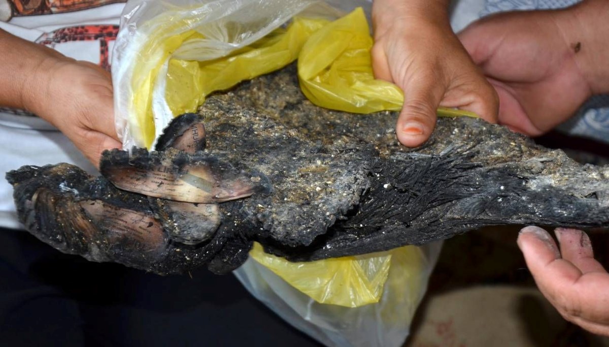 Yangında 90 bin TL birikimleri yandı: Merkez Bankası'na başvurdular