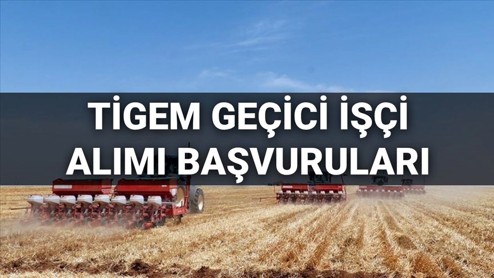 TİGEM 306 süreksiz emekçi alımı müracaatları 2025 başladı: TİGEM personel alımı müracaatları nasıl yapılır, kaideler neler? (İŞKUR mevsimlik personel alımı müracaat ekranı) 72 YculVIVKjECwi32CsZ E A