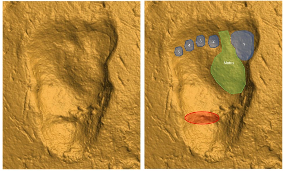 İnsanların ilk atalarına ait 3,7 milyon yıllık ayak izleri bulundu: Karanlık çağ aydınlanıyor - 3