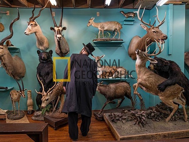 soyu tukenmis hayvanlar bile onun elinde can buluyor magazin haberleri ntv