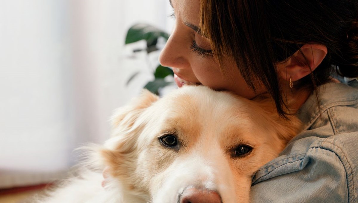 Araştırma: Köpekler biyolojik yaşlanmayı yavaşlatabilir Araştırma: Köpekler biyolojik yaşlanmayı yavaşlatabilir