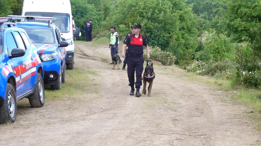 Alan taraması 5'inci günde de devam ediyor: Arama köpeği kafatası parçası buldu - 15