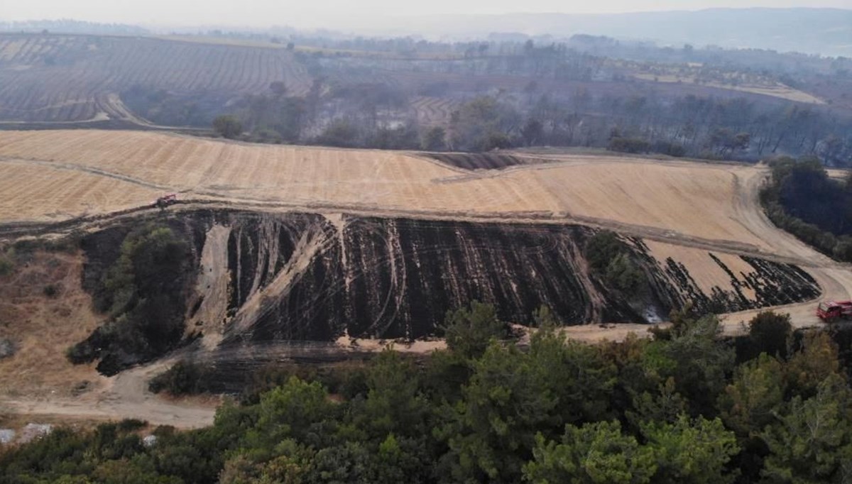 Çanakkale'deki orman yangınında yanan alanlar havadan görüntülendi