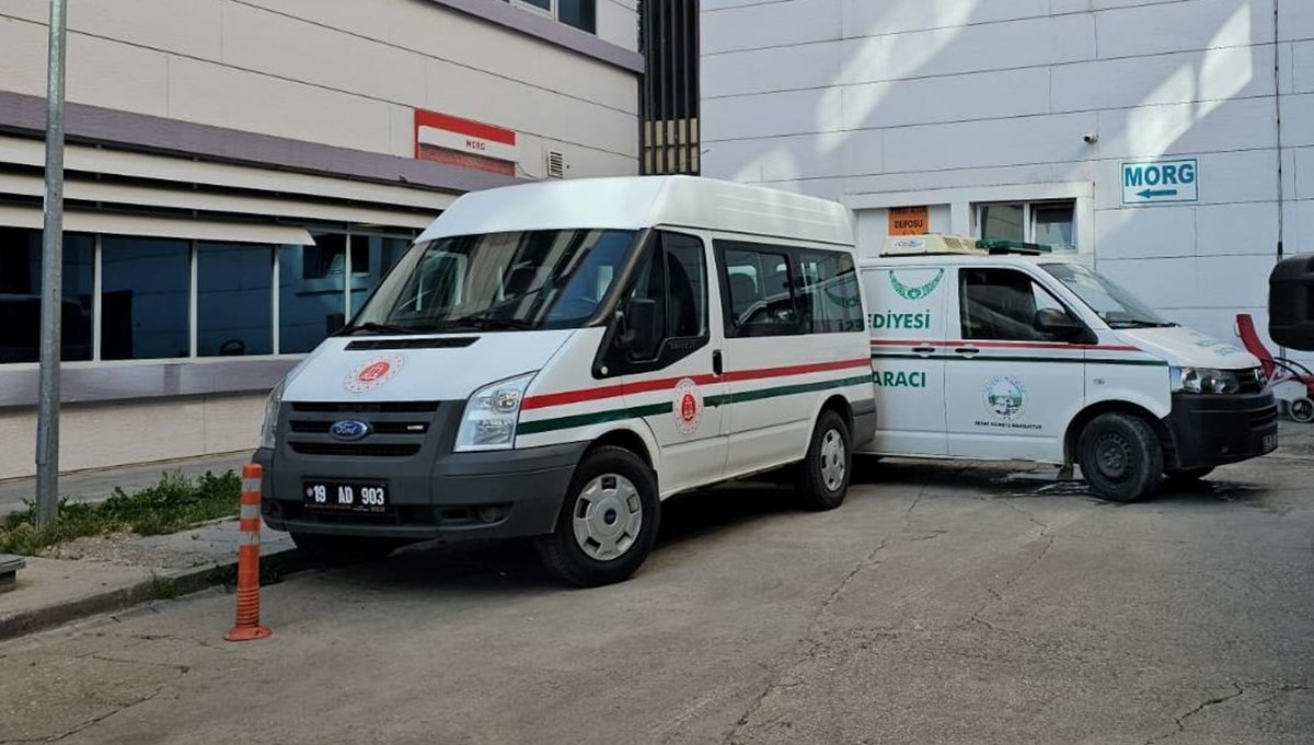 Çorum'da arıların soktuğu kadın yaşamını yitirdi Çorum'da arıların soktuğu kadın yaşamını yitirdi