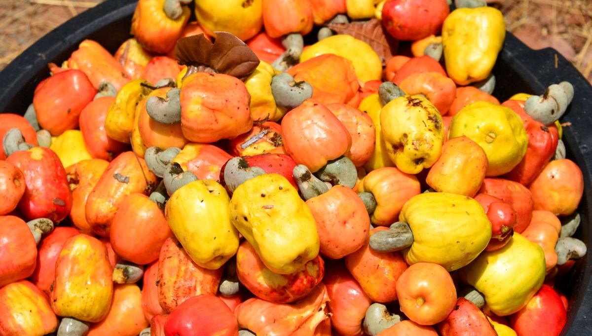 Dünyaca ünlü yıldızlar yorgunluğu önlemek için her gün tüketiyor! Hem kemik sağlığını koruyor hem de bağışıklığı güçlendiriyor