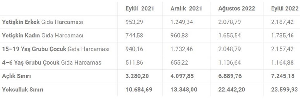 Eylülde yoksulluk sınırı 23 bin 600 liraya çıktı - 1