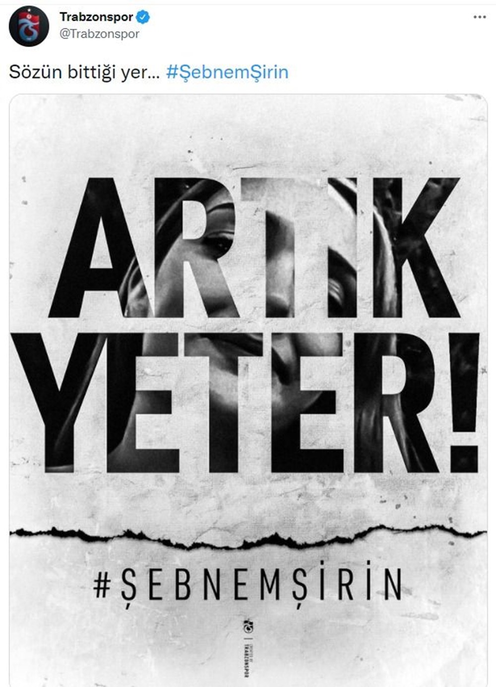 Şebnem Şirin cinayetine tepki yağdı - 9