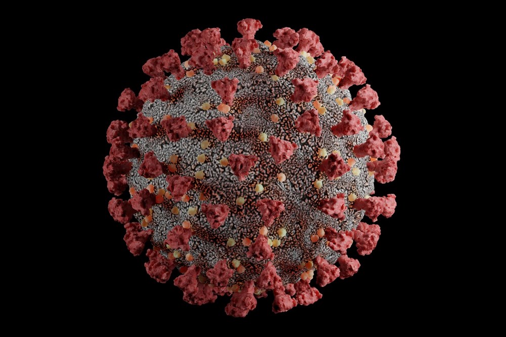 Corona virüsün en fazla mutasyona uğrayan varyantı keşfedildi: Sessizce yayılabilir - 2