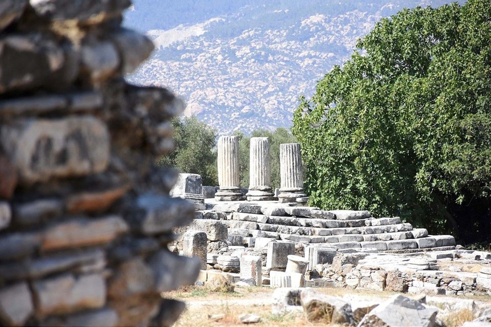 Muğla Lagina Hekate Kutsal Alanı'ndaki yapılar ayağa kaldırılıyor - 3