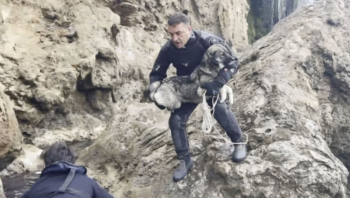 Falezlerde mahsur kalan köpek deniz polisinin yardımıyla kurtarıldı