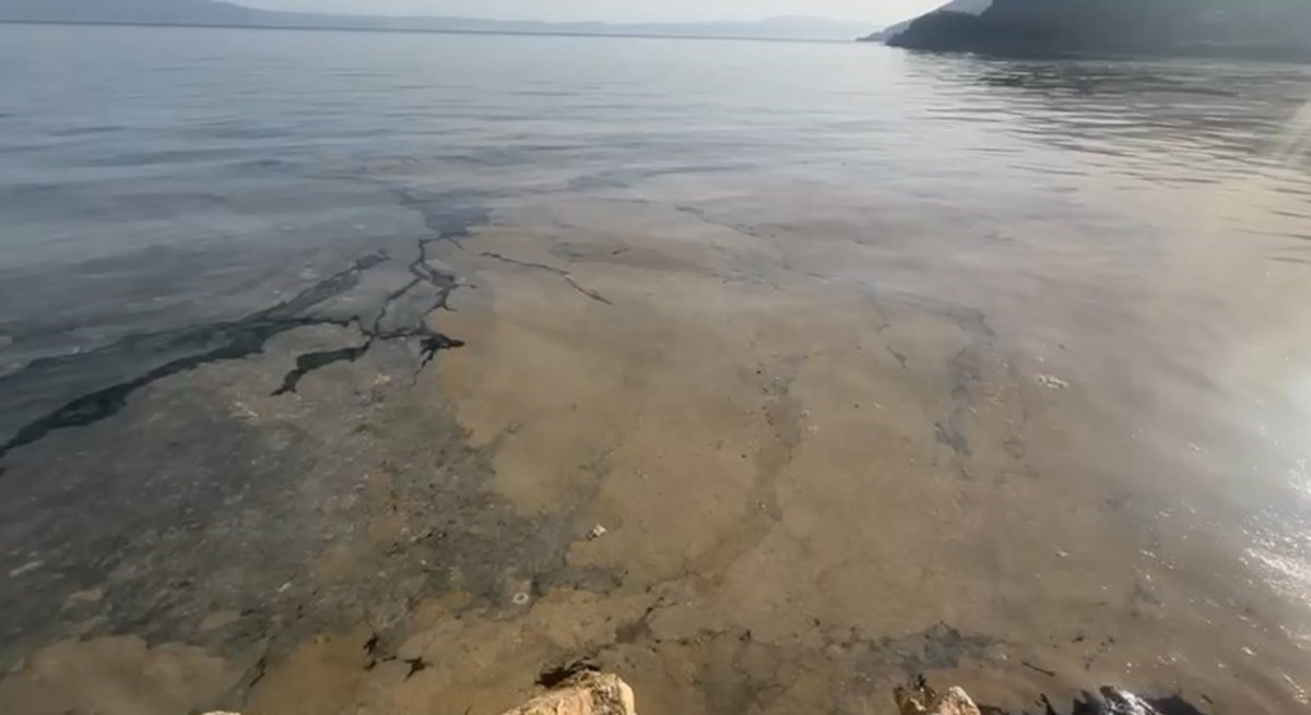 Gençali sahilinden Narlı bölgesine kadar uzanan sahil şeridi müsilajla kaplandı Gençali sahilinden Narlı bölgesine kadar uzanan sahil şeridi müsilajla kaplandı