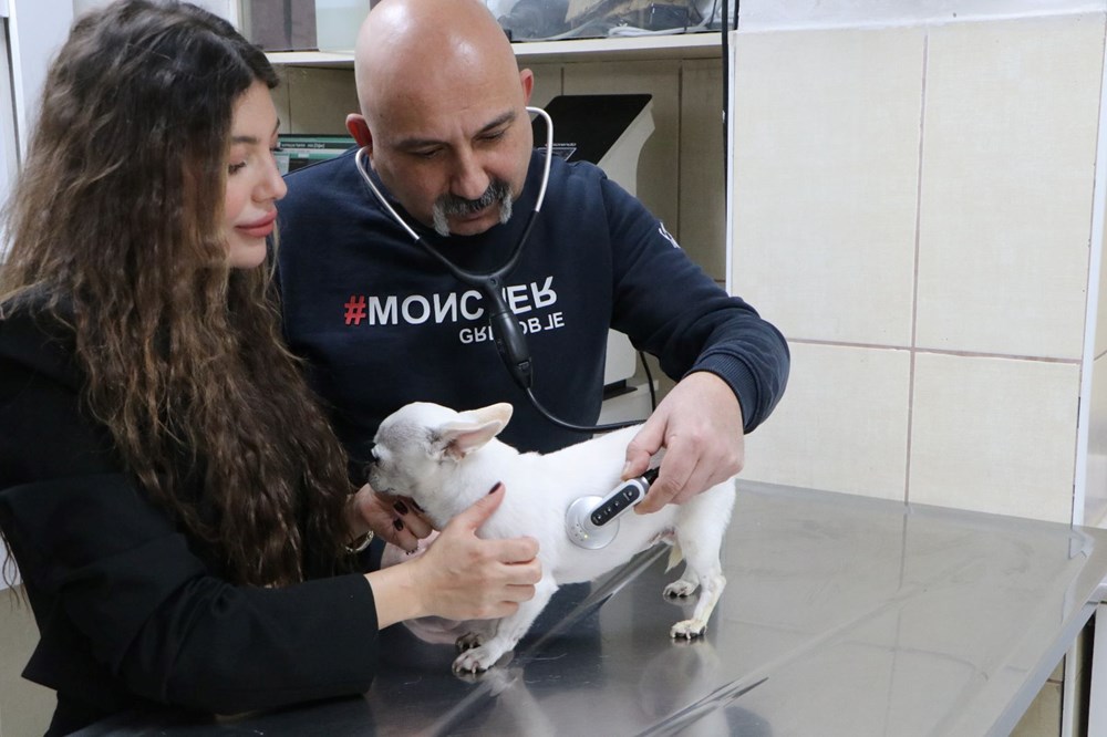 Mini'nin Horultu Serüveni: Uykusuz Gecelerin Neden Kaynağı? 73 YpTqKdkaeUOV6MHKrOFGEQ