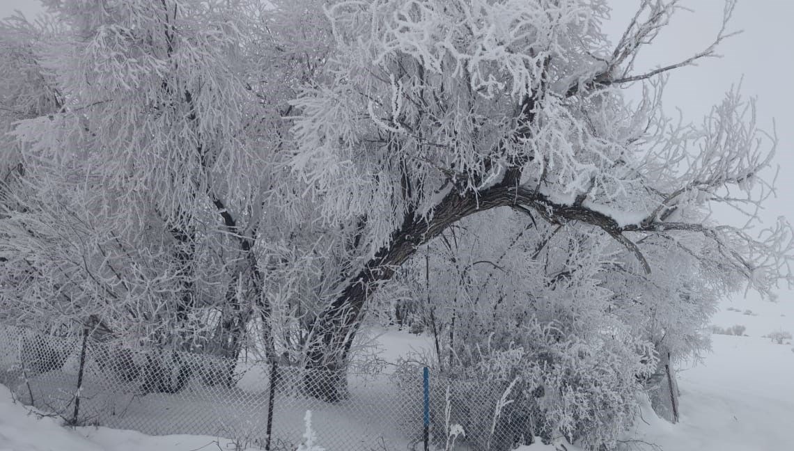 Erzurum’da soğuk hava etkili oluyor