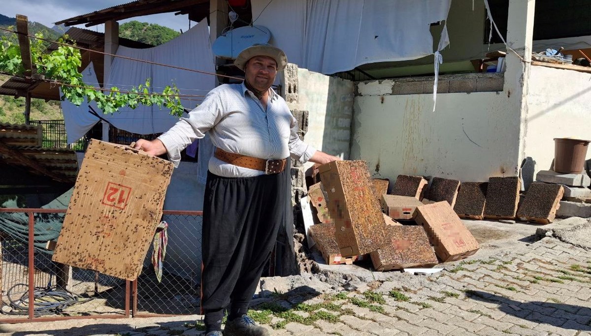 Sinekle mücadelede şaşırtan yöntem: Kartonlara fare yapıştırıcısı sürdü Sinekle mücadelede şaşırtan yöntem: Kartonlara fare yapıştırıcısı sürdü