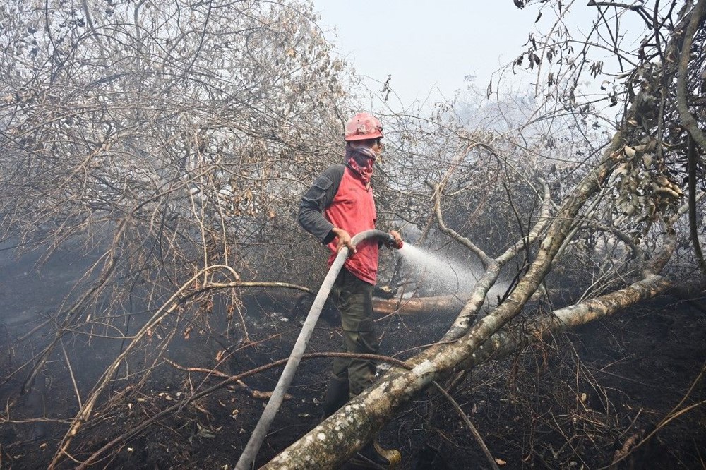 Endonezya yangınlar için yapay yağmur yağdıracak - 2