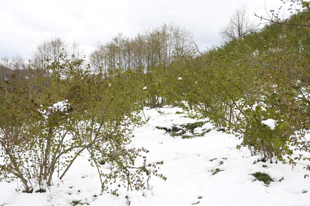 YreE5pz VU2WwzHDN qMkg