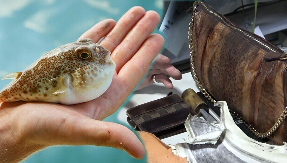 Balon balığı kadın çantası oldu