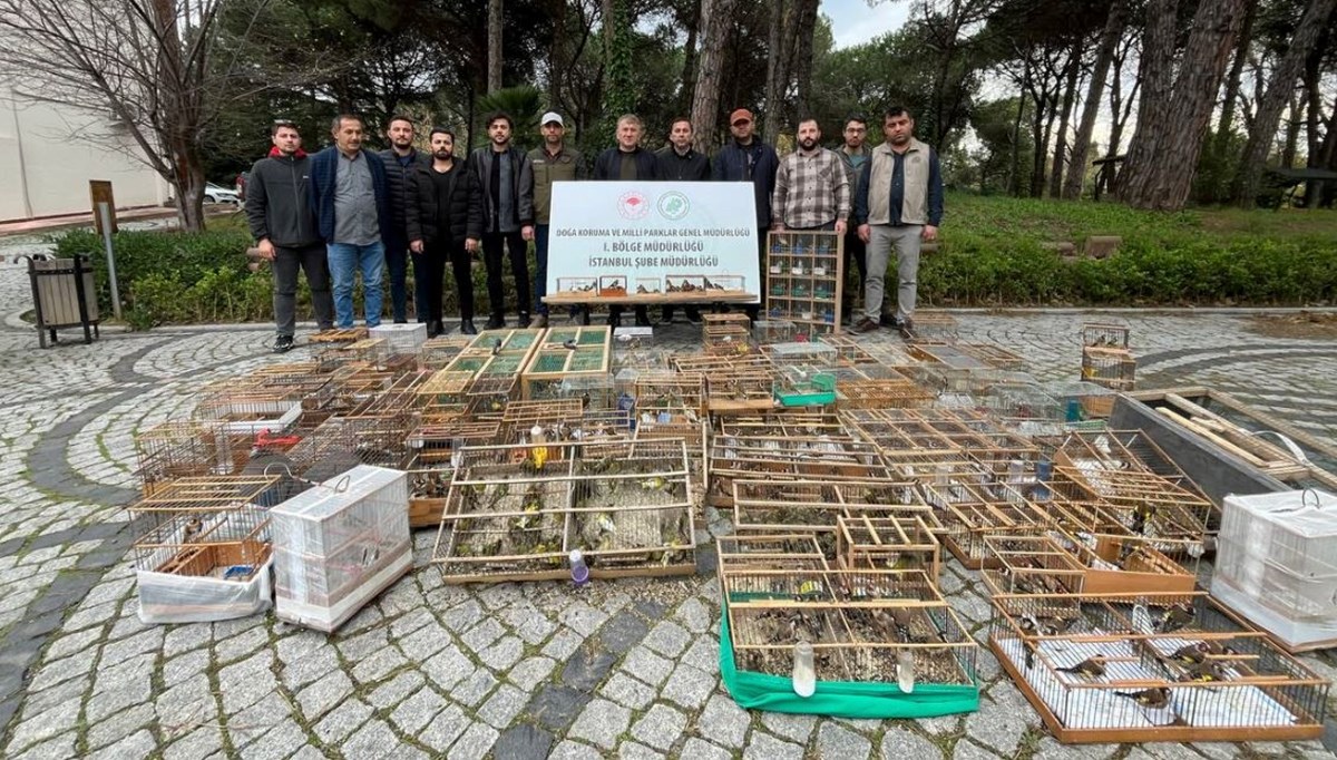 Avlanması yasak kuşları yakalayarak satanlara rekor para cezası Avlanması yasak kuşları yakalayarak satanlara rekor para cezası