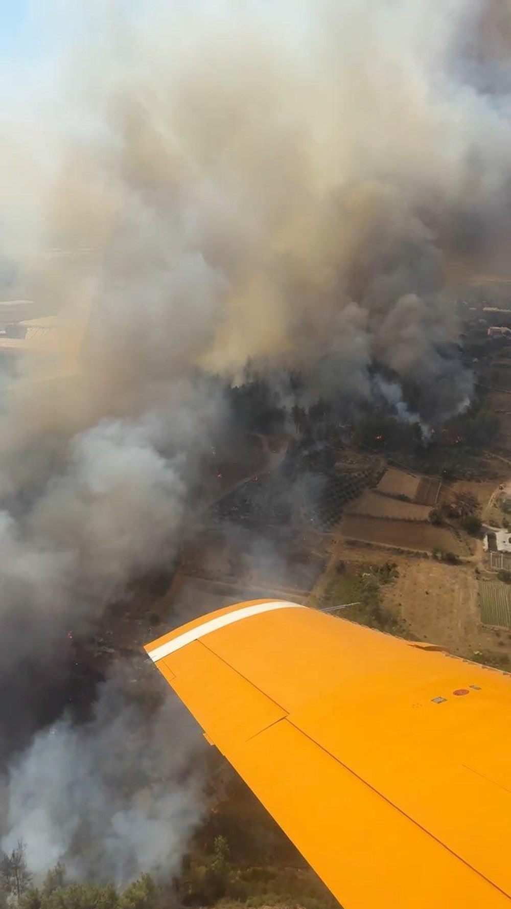Antalya Gazipaşa'da orman yangını - 9